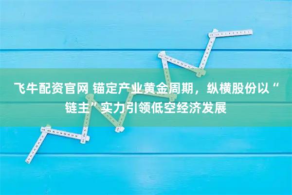 飞牛配资官网 锚定产业黄金周期，纵横股份以“链主”实力引领低空经济发展