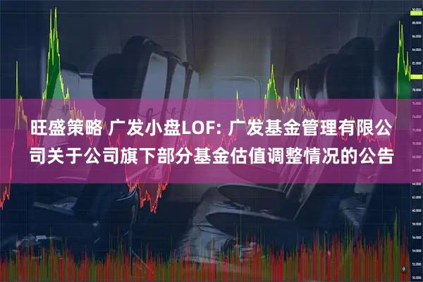 旺盛策略 广发小盘LOF: 广发基金管理有限公司关于公司旗下部分基金估值调整情况的公告